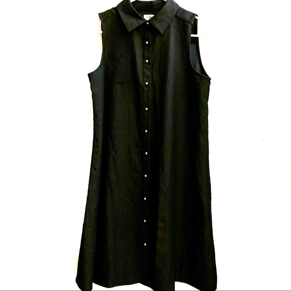 Calvin Klein Blue / Black button down dress